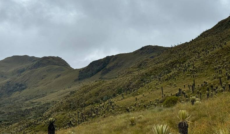 Gobernación del Tolima hace seguimiento, control y monitoreo a predios de conservación