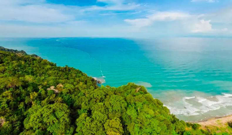 Unesco declara el Darién Norte Chocoano como Reserva de Biósfera