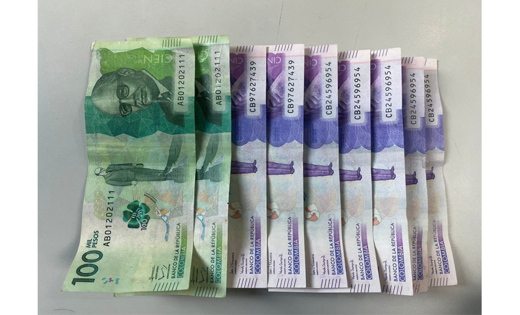 Una mujer fue capturada con más de 500 mil pesos falsos