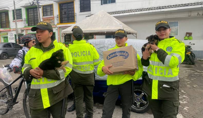 Exitosa jornada de adopción de cachorros en el municipio de Murillo