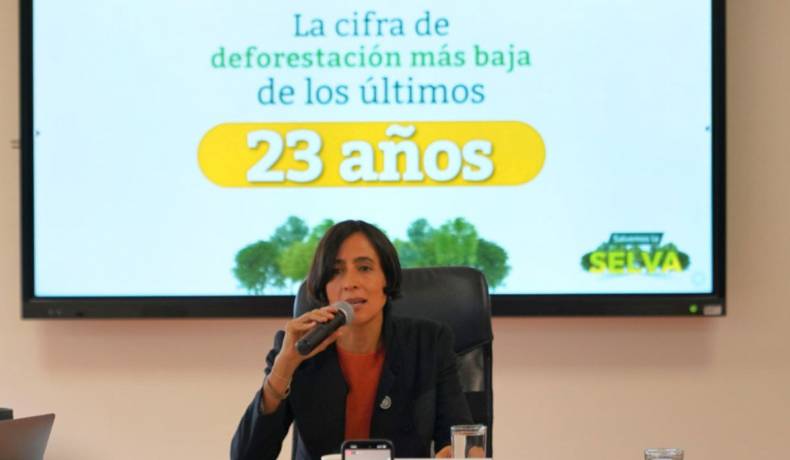 La deforestación en Colombia se redujo en 36% en 2023, MinAmbiente