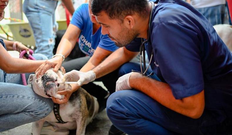 Prepárese para dos días de jornadas bienestar para los peluditos