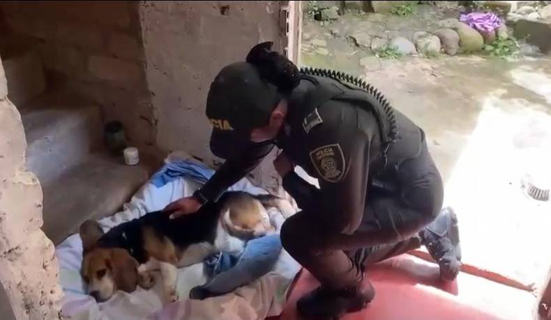 Policía auxilió a Mailo en Chaparral