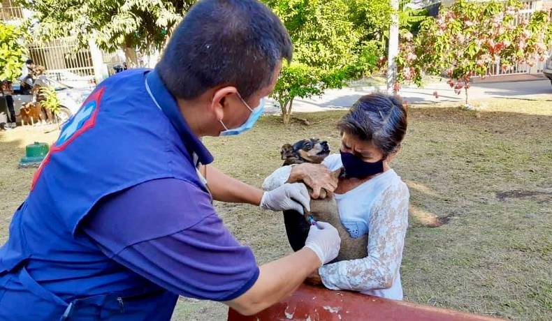 Inició la vacunación de mascotas en el Tolima
