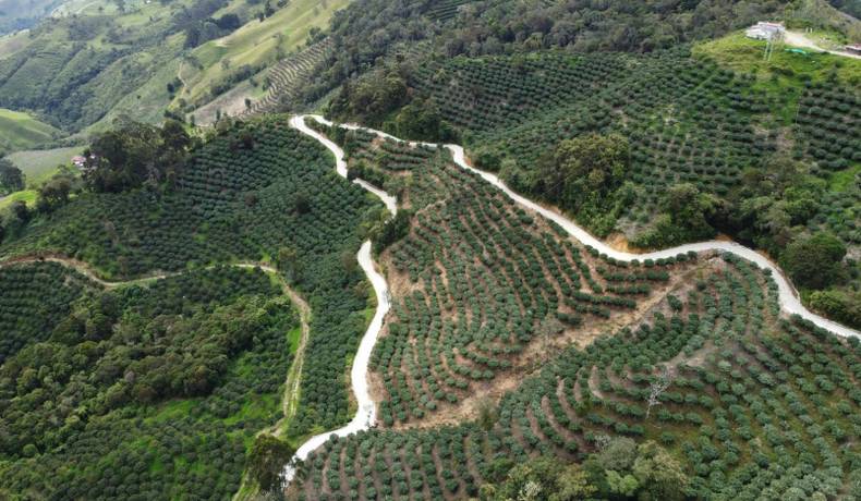 En 99 % avanza construcción de placas huellas en Palomar