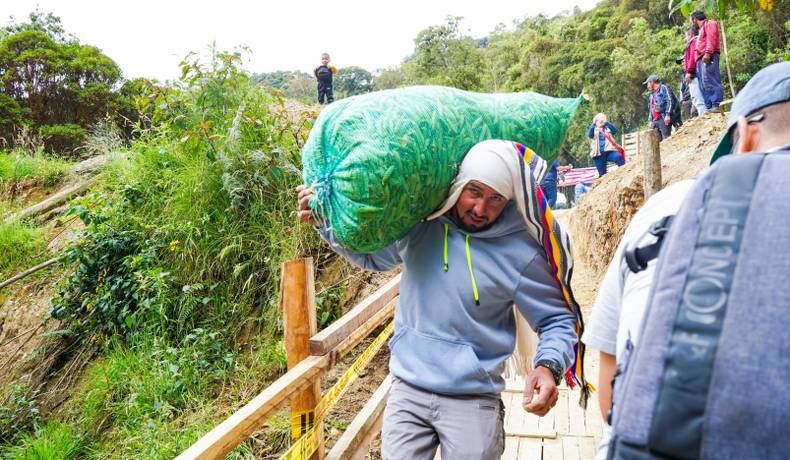 En 99 % avanza construcción de placas huellas en Palomar