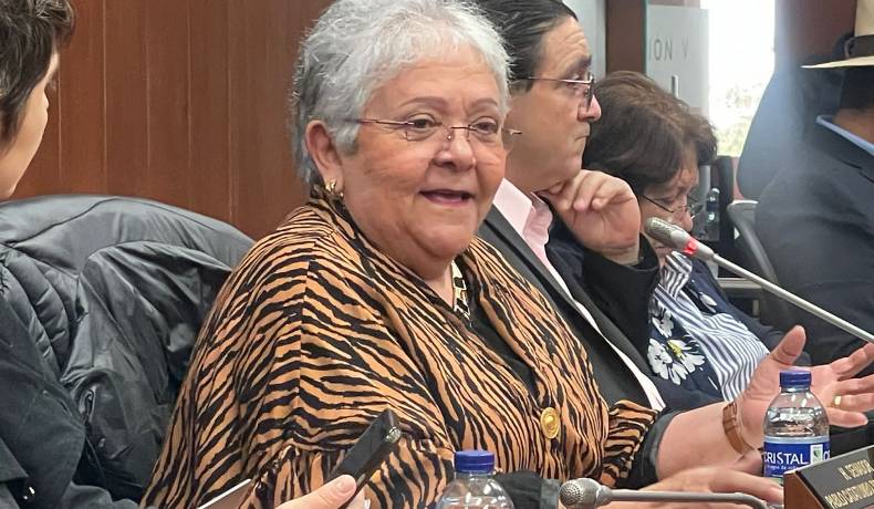 Proyecto de Ley busca crear la Jurisdicción Especial para la Mujer