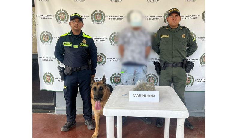 Gracias al olfato de Titán se logró la captura de un sujeto e incautación de estupefacientes 