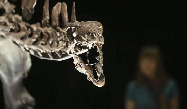 El precio más caro de la historia por un esqueleto de dinosaurio, 44,6 millones
