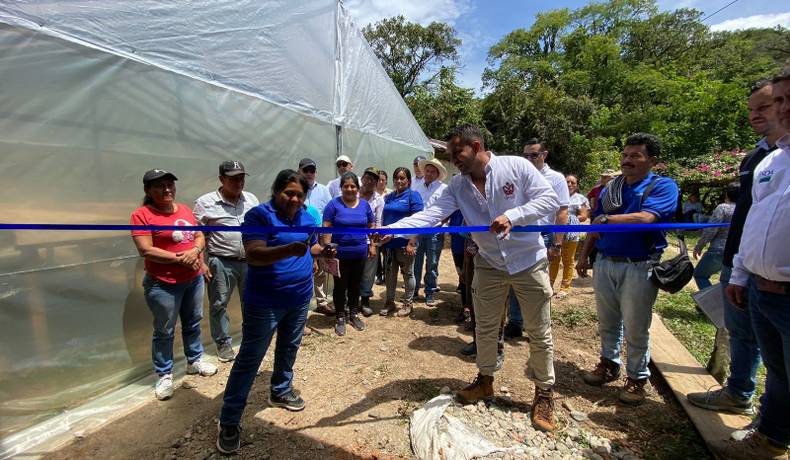 Secretaría de Desarrollo Agropecuario y SwissContact entregan microcentral de beneficio para cacaoteros en Ortega