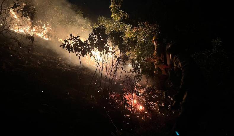Incendio forestal en la Vereda Siberia, Carmen de Apicalá, autoridades intensifican esfuerzos para su control