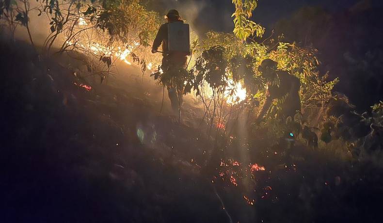 Incendio forestal en la Vereda Siberia, Carmen de Apicalá, autoridades intensifican esfuerzos para su control