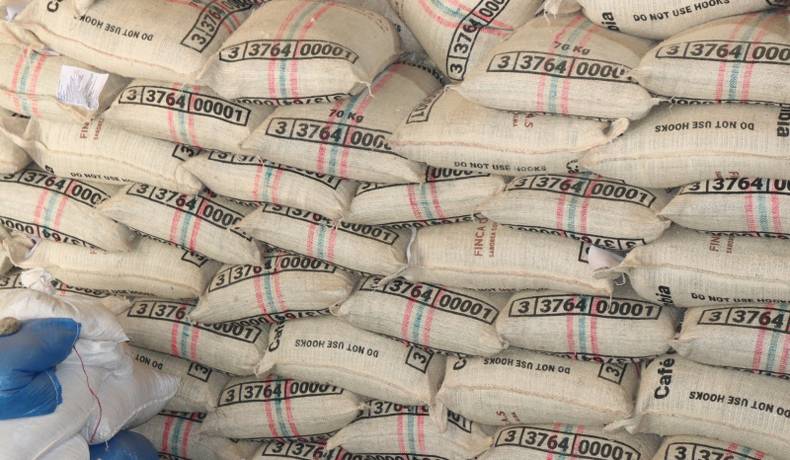 17 toneladas de café del Tolima fueron exportadas a Shengdú