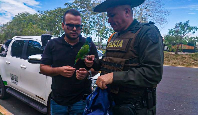 METIB intensifica acciones contra el tráfico ilegal de fauna y flora