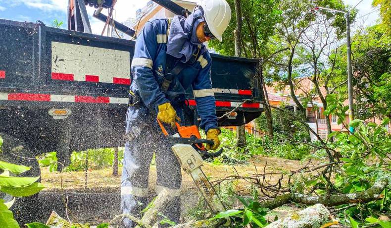 Alcaldía llegó con soldadura, pintura y poda al parque de Macadamia