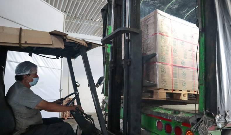 Por primera vez un contenedor de panela del Tolima es enviado a Estados Unidos