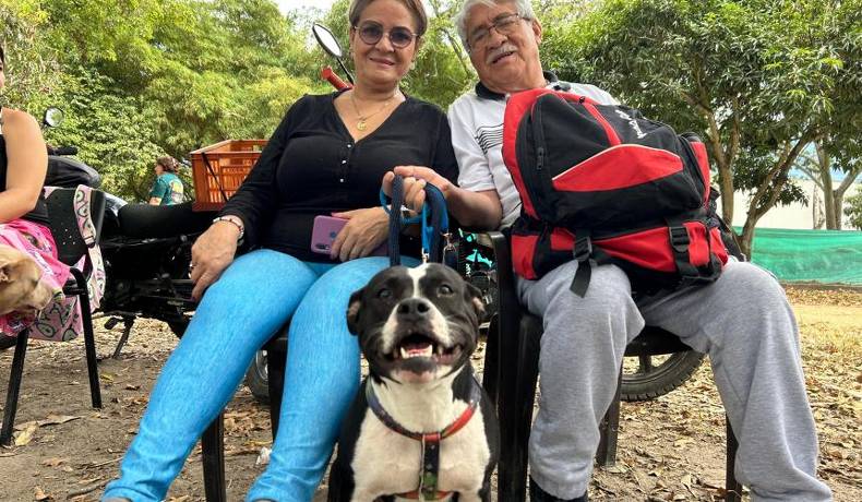 Conozca cómo agendar su cita para esterilizar a su perro o gato