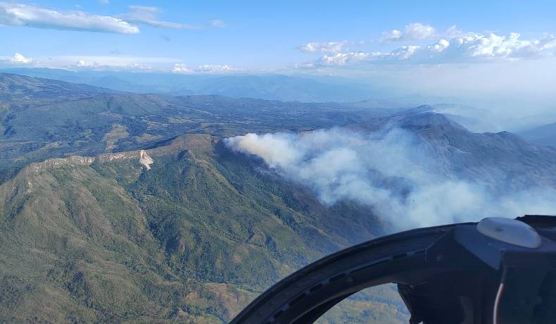 Incendios forestales en Alpujarra y Venadillo 