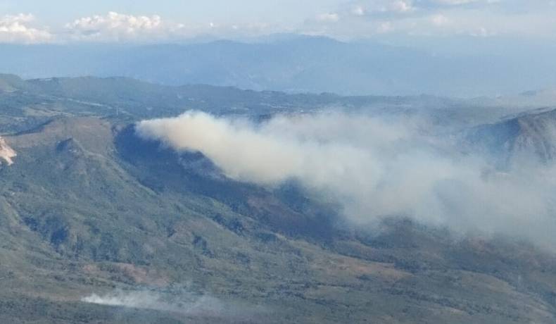 Incendios forestales en Alpujarra y Venadillo 