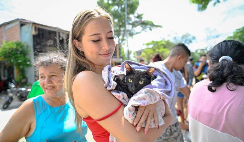 Prepárate para escoger a la representante de la Junta Protectora de Animales
