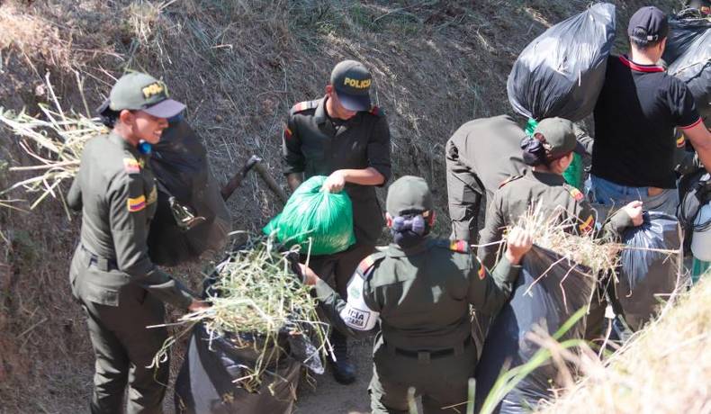 ¡Más verde y más limpio! Así dejó la Alcaldía el Cerro Pan de Azúcar