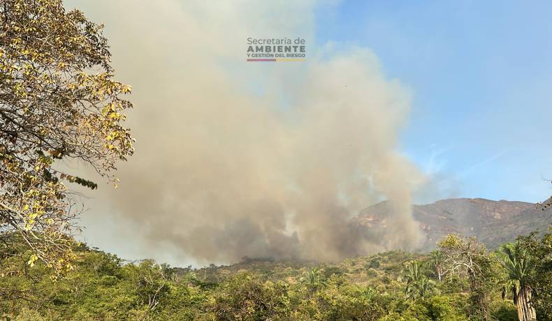 Más de 25 incendios han sido atendidos en el Tolima durante la semana