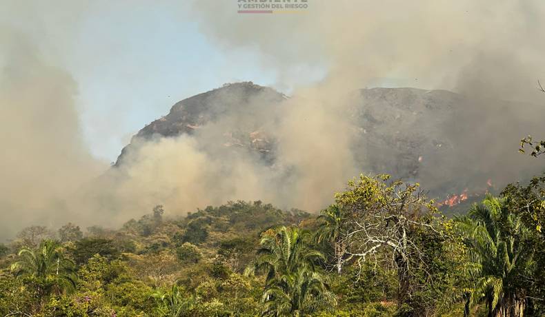 Más de 25 incendios han sido atendidos en el Tolima durante la semana