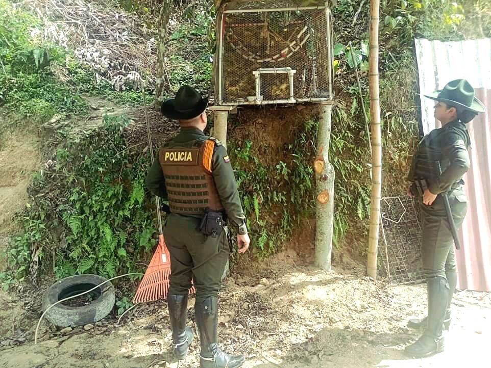 Policía Ambiental incautó especies silvestres en zona rural de Ibagué