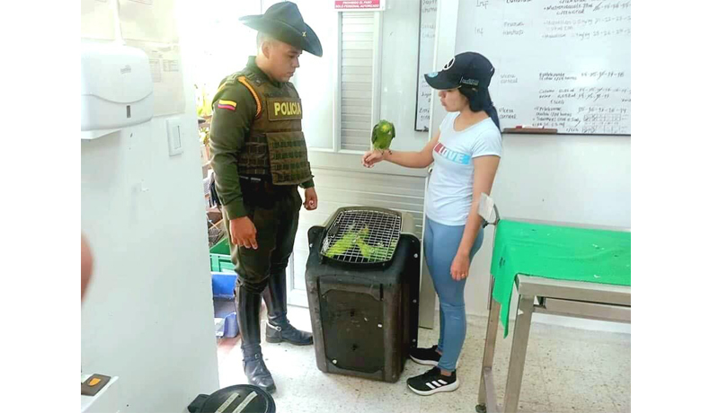 Policía Ambiental incautó especies silvestres en zona rural de Ibagué