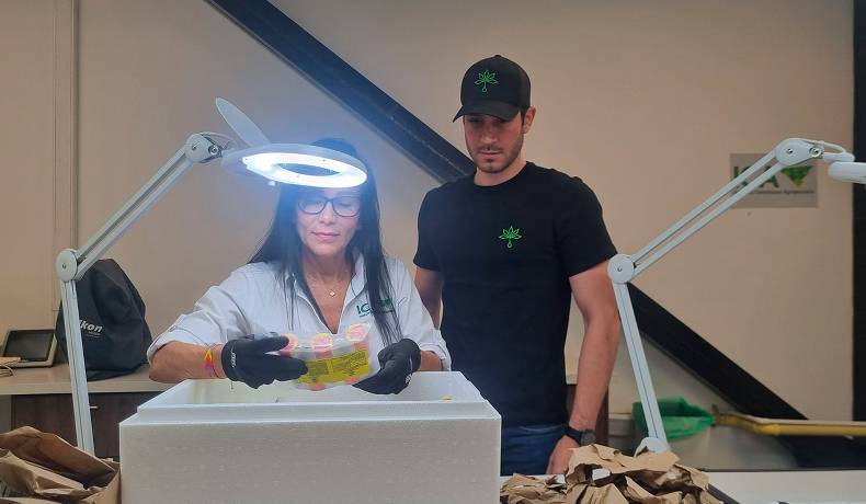 Colombia amplía exportaciones de cannabis a más de 12 países