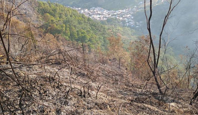 Luego de 5 horas los bomberos controlaron incendio forestal en La Gaviota parte alta