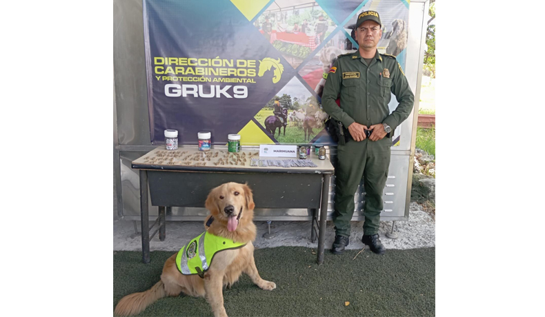Jefry halló 400 gramos de marihuana en una encomienda