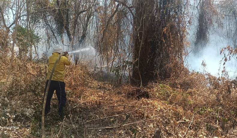 Tolima continúa con siete incendios activos y con altas temperaturas