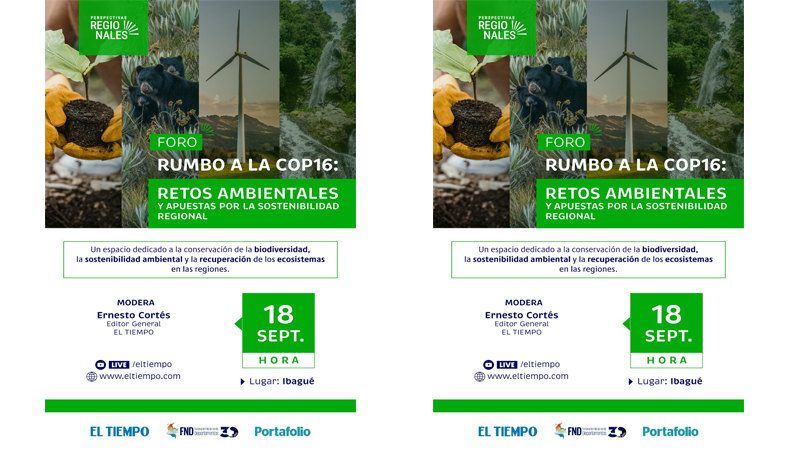 Directora de Cortolima participará en gran foro rumbo a la COP16