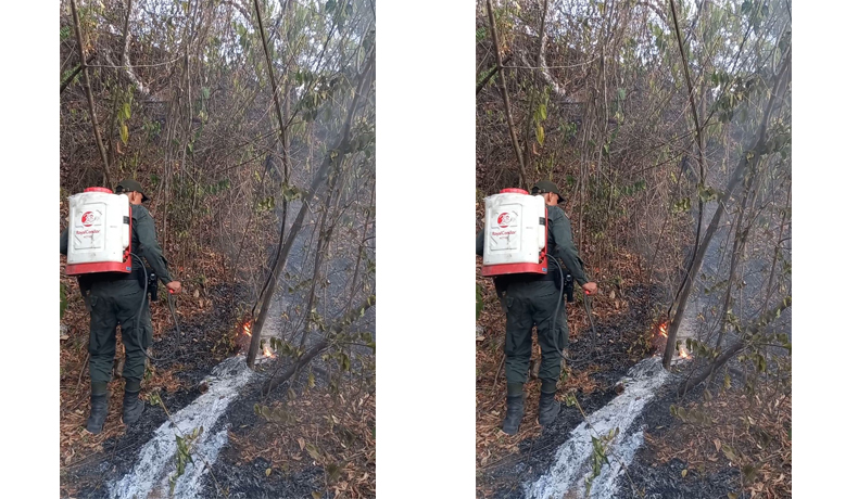 Policía Tolima comprometida con el medio ambiente ante incendios forestales