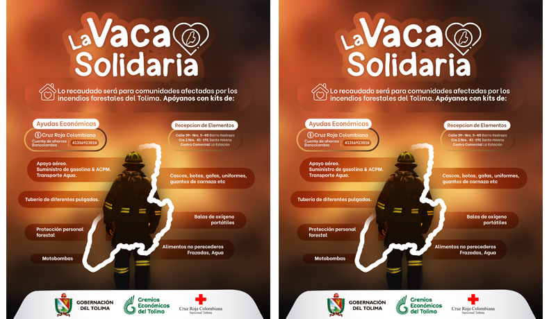Conozca cómo realizar su donación a los damnificados de los incendios forestales en el Tolima