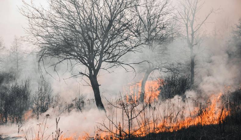 Capturado hombre que provocó incendio en Natagaima