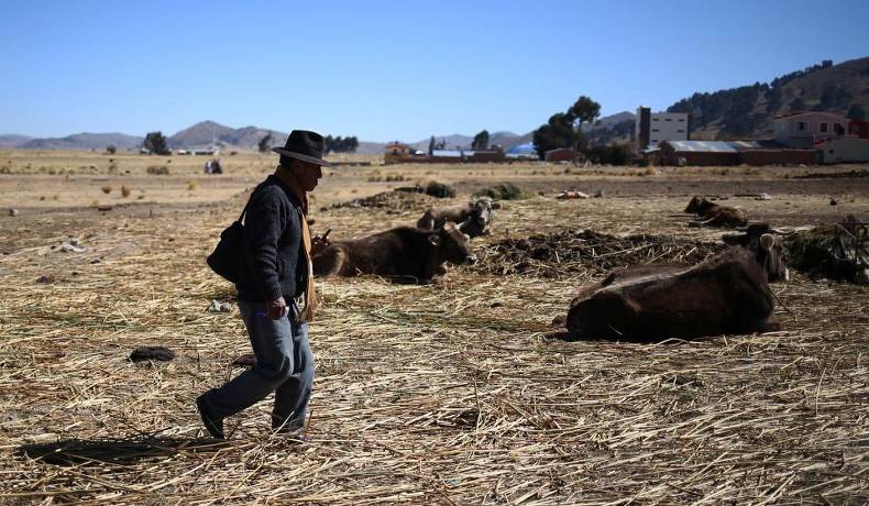 Sequía daña miles de toneladas de soya en Bolivia, exportaciones descienden
