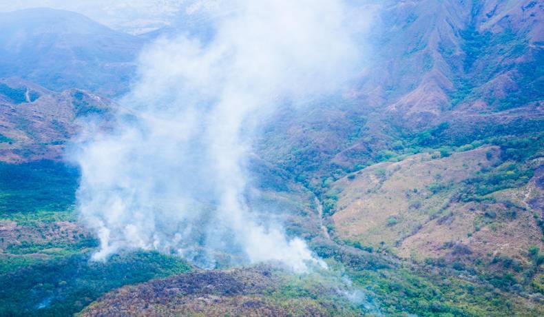 Incendios forestales han afectado más de 10.000 hectáreas de bosque seco del Tolima