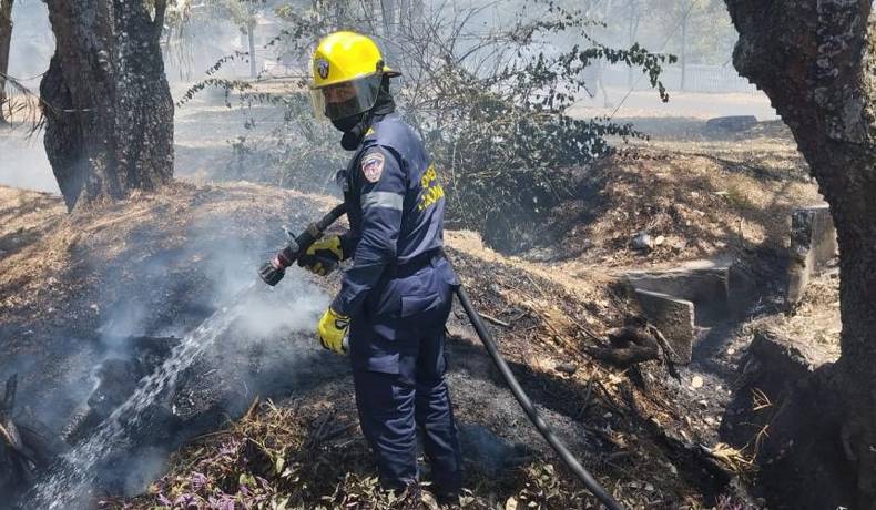Cuerpo de Bomberos ha atendido casi 500 incendios forestales durante este año en Ibagué