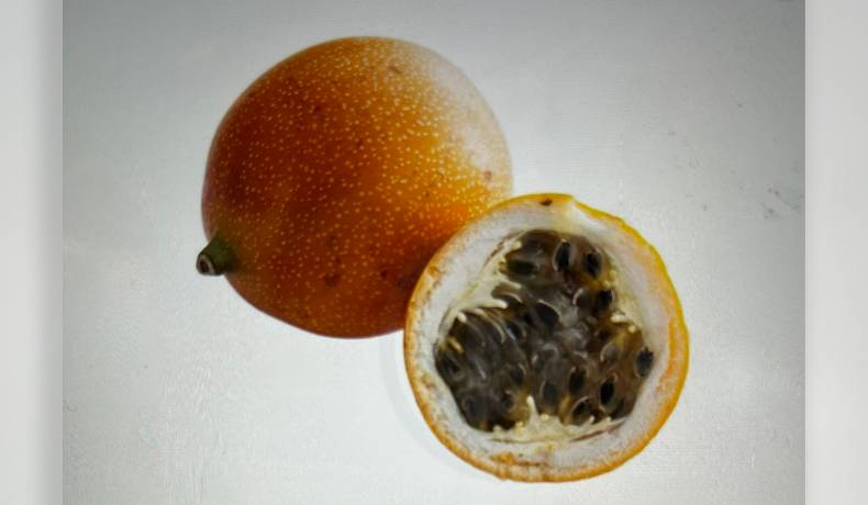 Exportaciones de granadilla colombiana alcanzaron este año los 2,8 millones de dólares