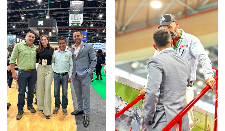 Tolima se destaca en Cafés de Colombia 2024