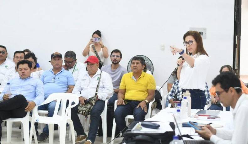 Mesa técnica agroclimática traza hoja de ruta para mitigar efectos de incendios en municipios del sur tolimense