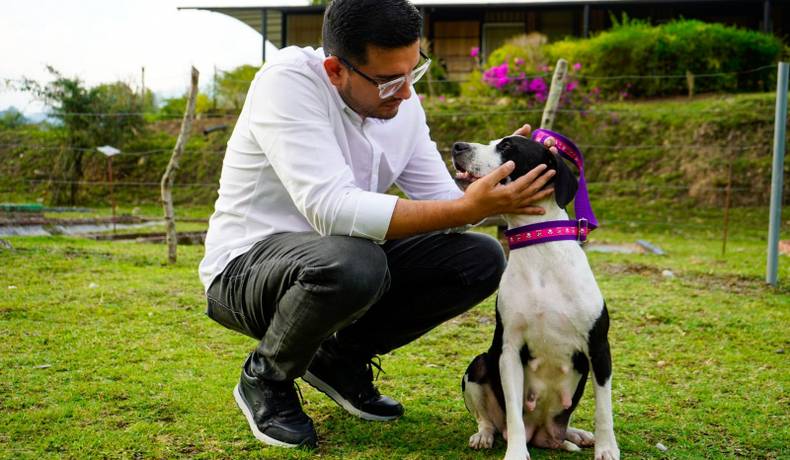 Trasladan a Kira, la perrita abusada sexualmente en Planadas, a Ibagué