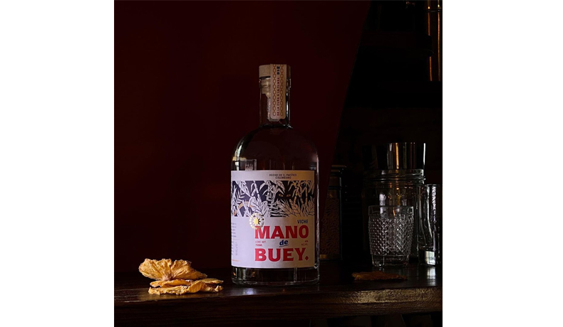 El viche: biodiversidad, cultura y resistencia del pacífico colombiano, presente en la COP16