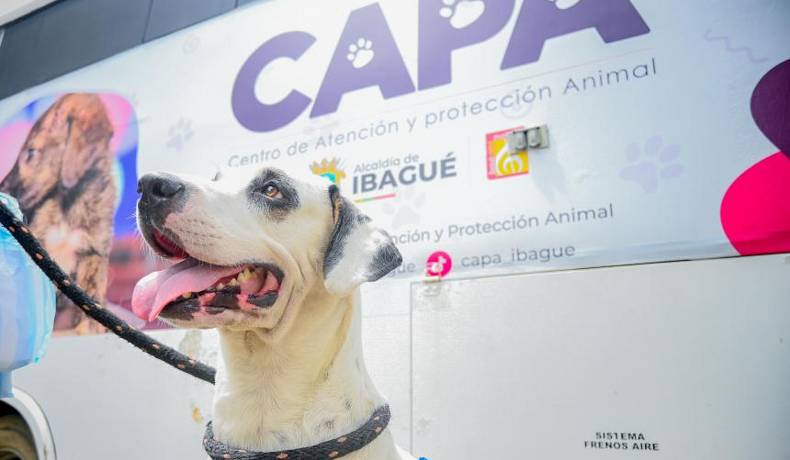Unidad Quirúrgica Veterinaria de la Alcaldía vuelve a recorrer barrios y zona rural