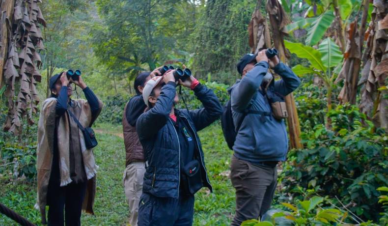 Prográmese con la novena edición del Festival de Aves del Tolima