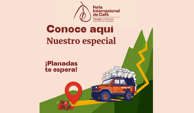 Paz, café y futuro: el amor que cultiva Planadas