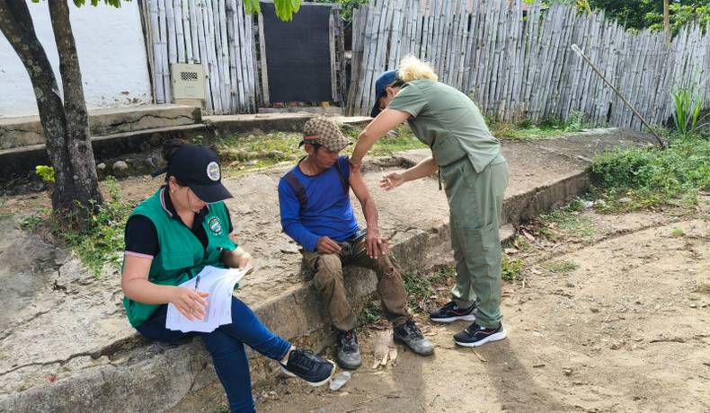 Áreas rurales de los municipios activos a fiebre amarilla llegan al 80 % de personas vacunadas