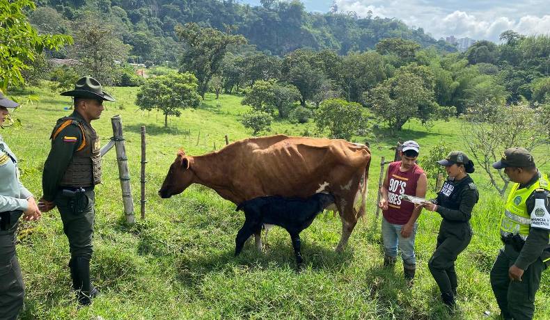 El Gaula entrega recomendaciones para evitar ser víctima de extorsión
